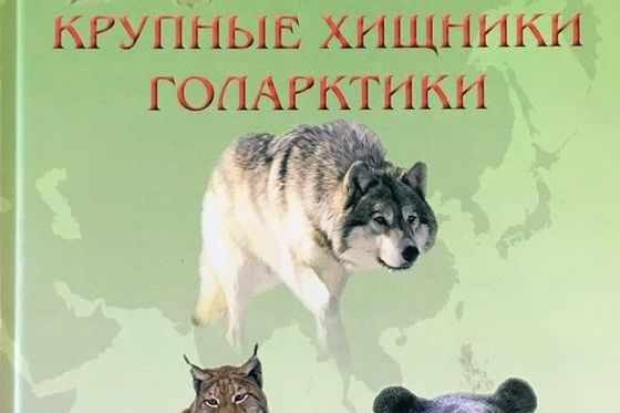 О состоянии популяции крупных хищников заповедника «Столбы» расскажет новая монография   