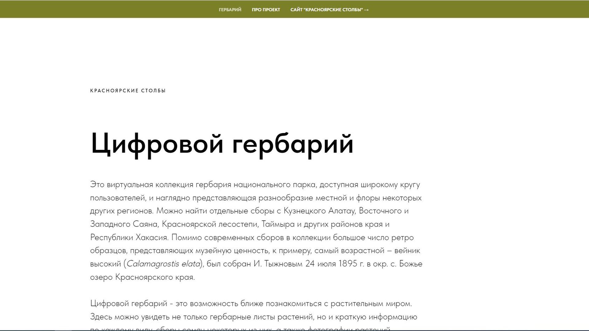 Фотография