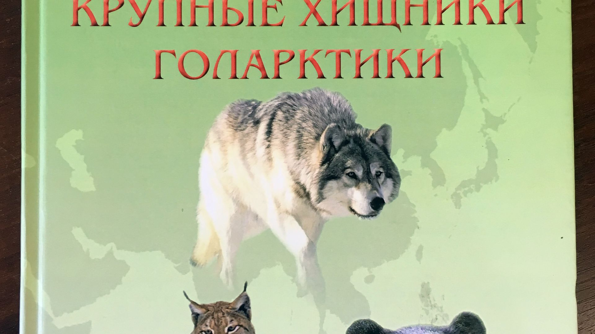 Фотография