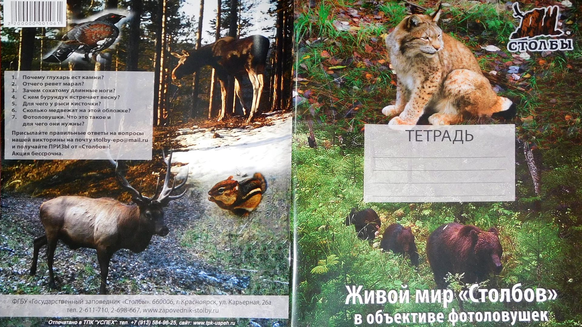 Фотография