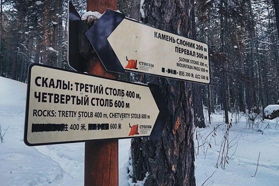 Интеллектуальное волонтерство и равнодушные люди