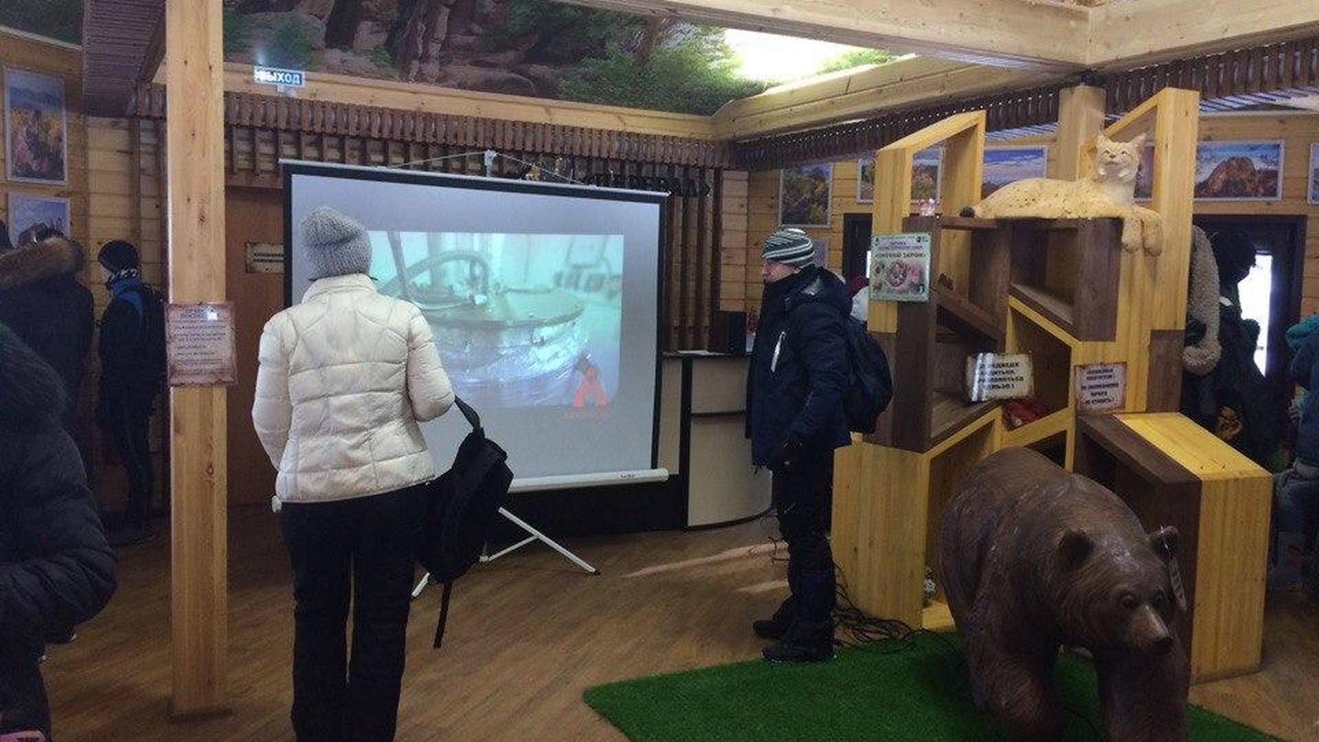 Фотография