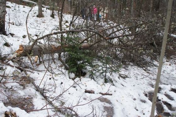 5 апреля ограничено посещение из-за сильного ветра