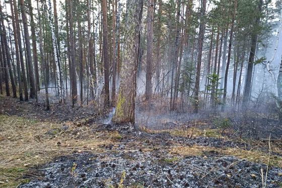 В национальном парке ликвидирован второй пожар за неделю