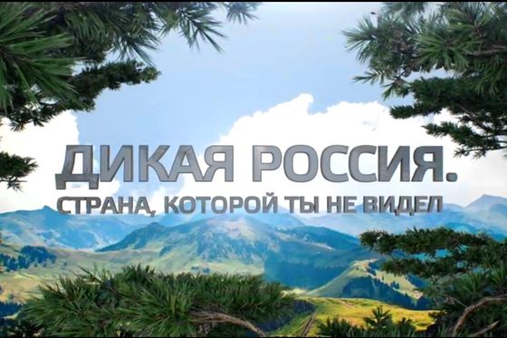 На телеканале «Живая планета» стартовал цикл документальных фильмов Минприроды России о заповедниках