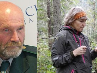 Династия Кнорре