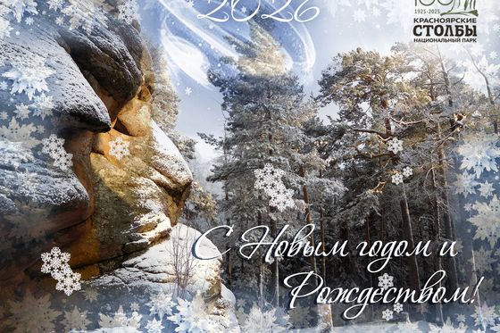 С Новым годом и Рождеством!